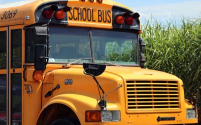 School Bus Safety Laws You Should Know